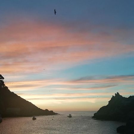 The House On The Props Bed & Breakfast Polperro Bagian luar foto